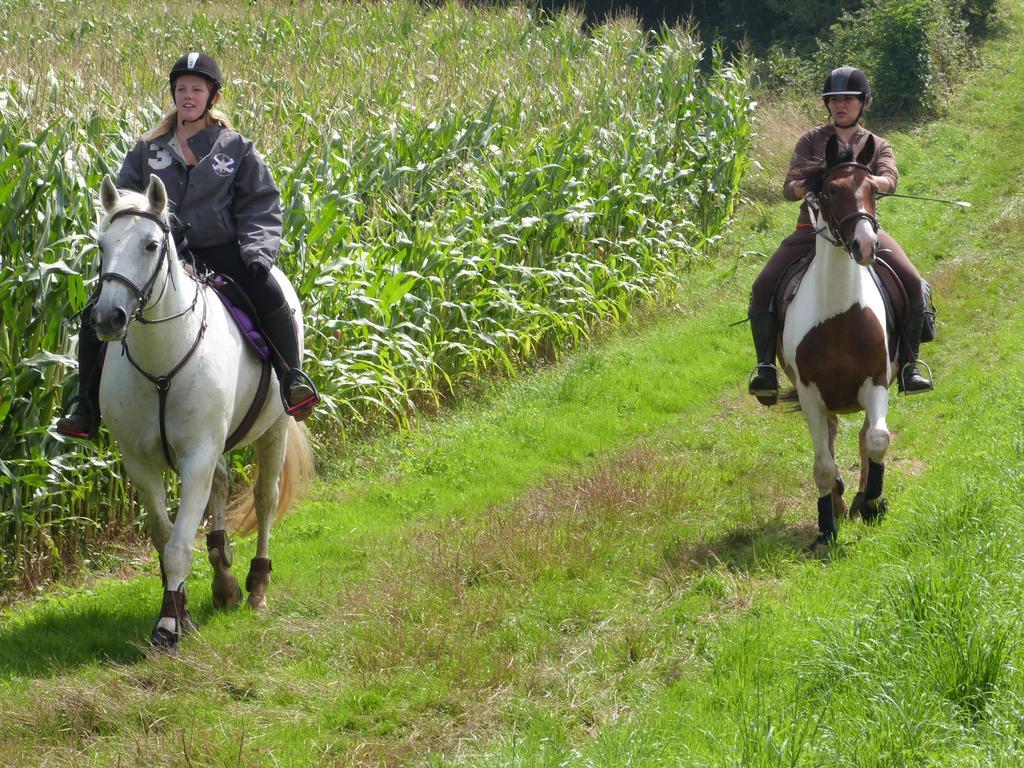 Gite Et Relais Equestre De Marie Tours-en-Vimeu Exterior foto
