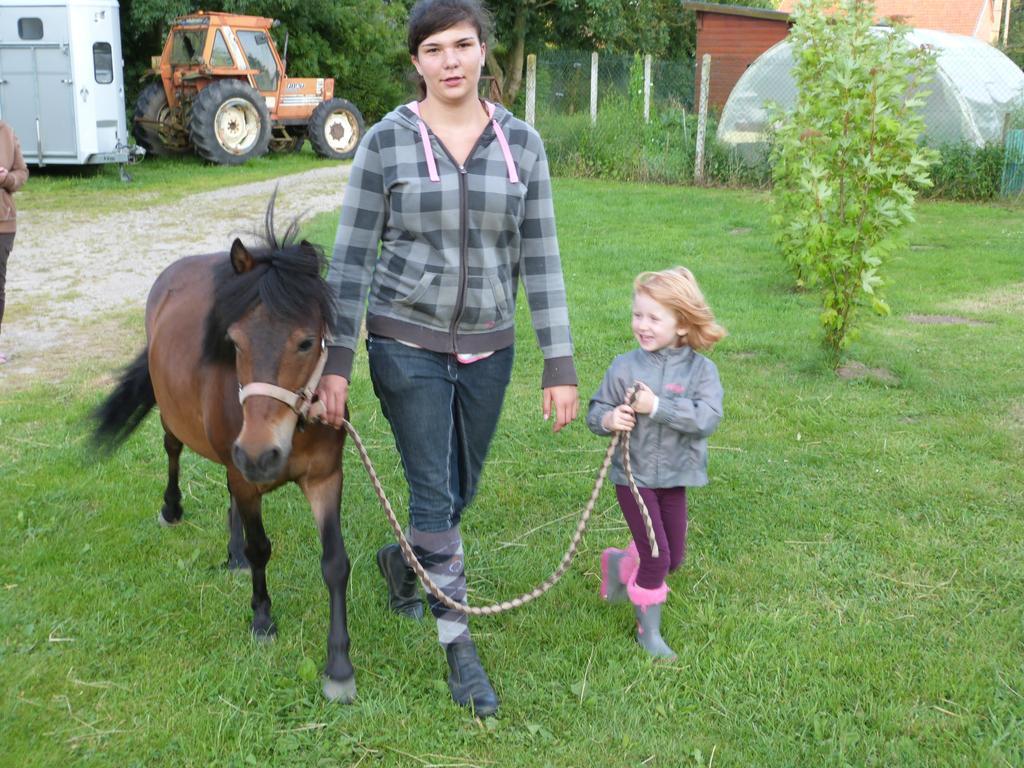 Gite Et Relais Equestre De Marie Tours-en-Vimeu Exterior foto