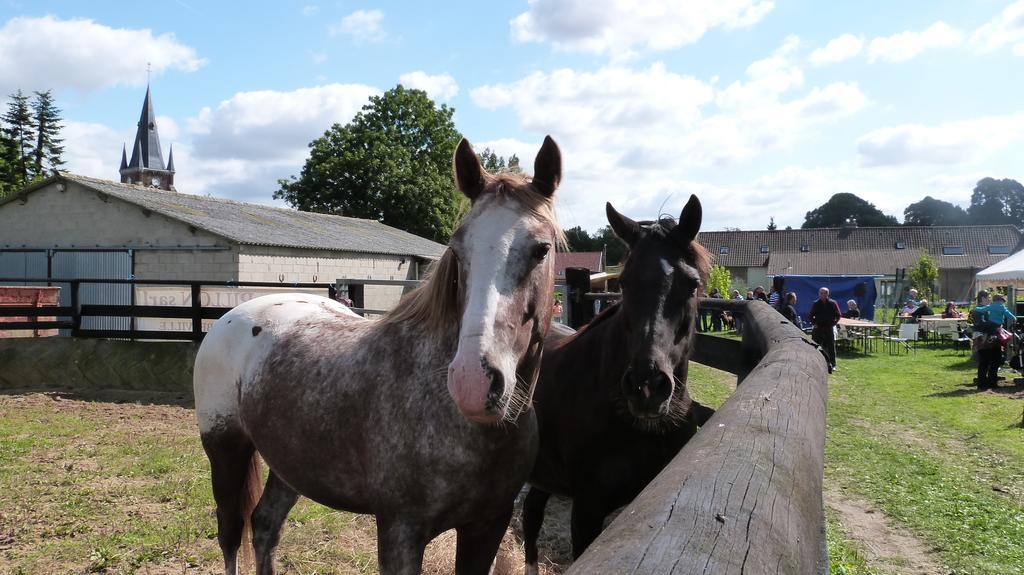 Gite Et Relais Equestre De Marie Tours-en-Vimeu Cameră foto
