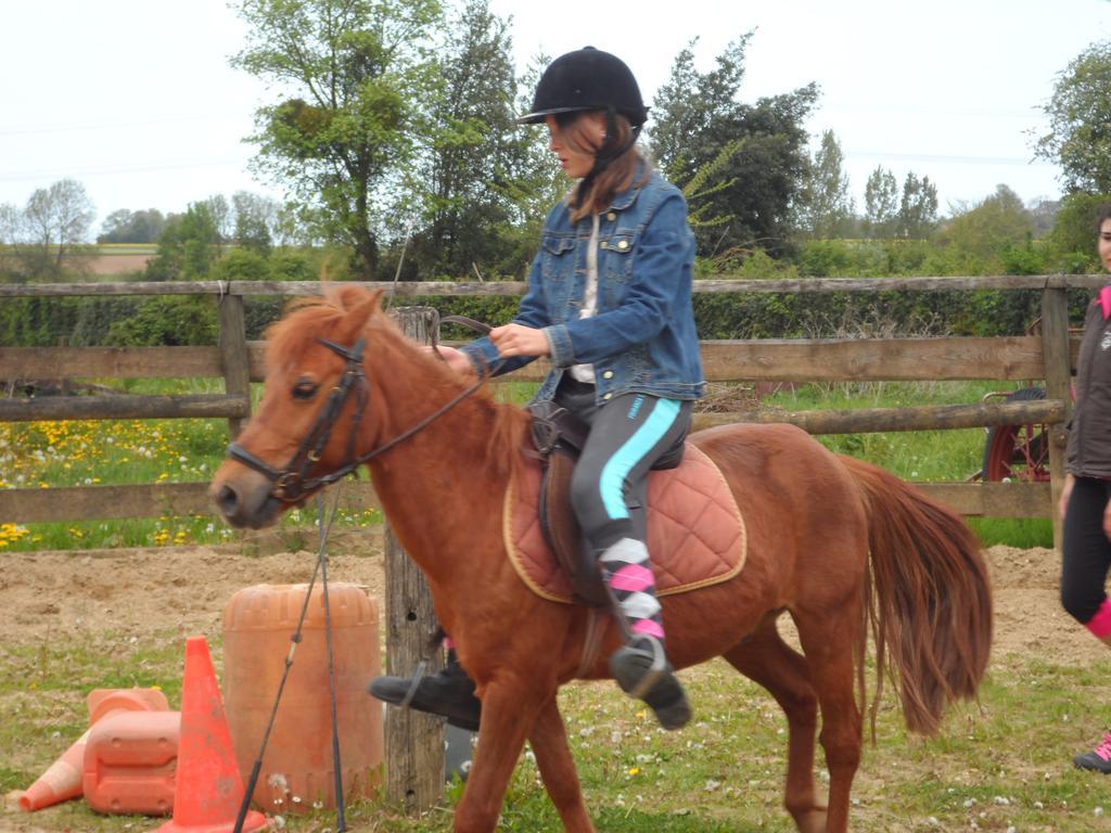 Gite Et Relais Equestre De Marie Tours-en-Vimeu Cameră foto