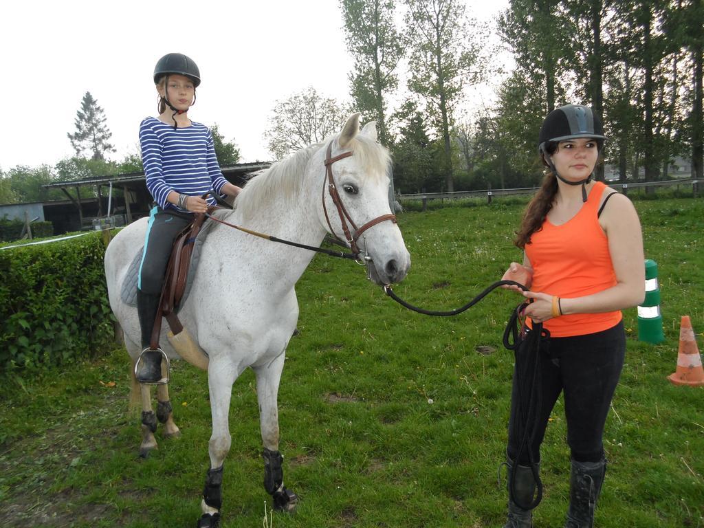 Gite Et Relais Equestre De Marie Tours-en-Vimeu Cameră foto