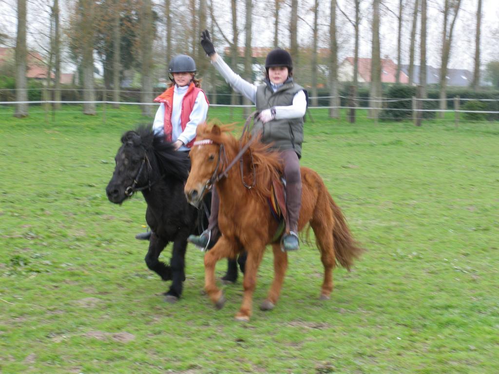 Gite Et Relais Equestre De Marie Tours-en-Vimeu Cameră foto